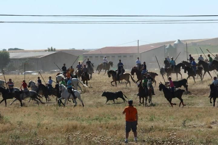 Encierro en Guarrate