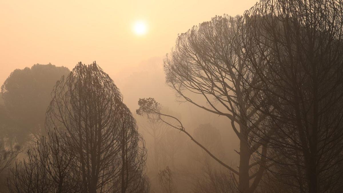Madrid i Àvila combaten el foc davant una altra onada de calor