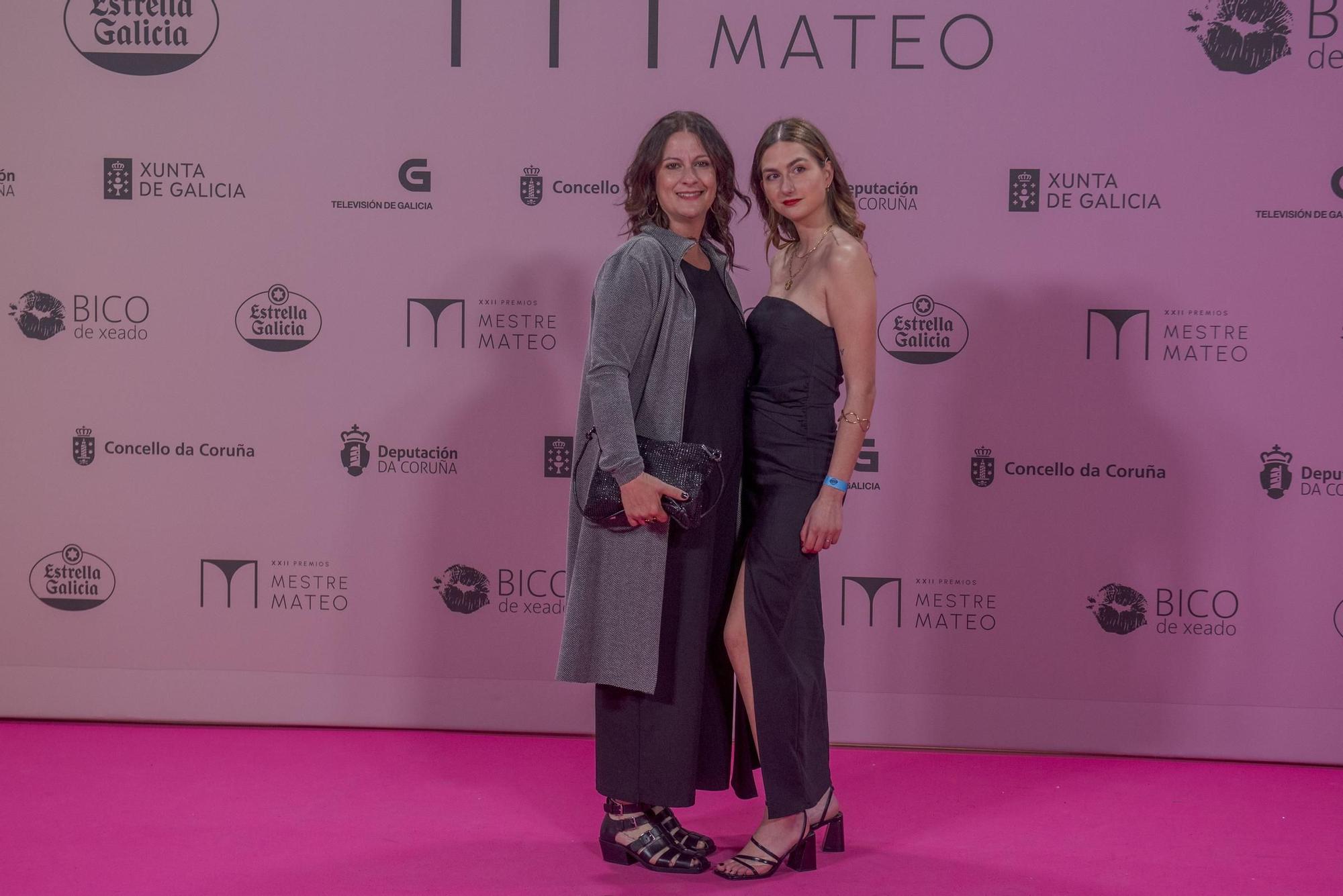 Gala dos premios Mestre Mateo 2024