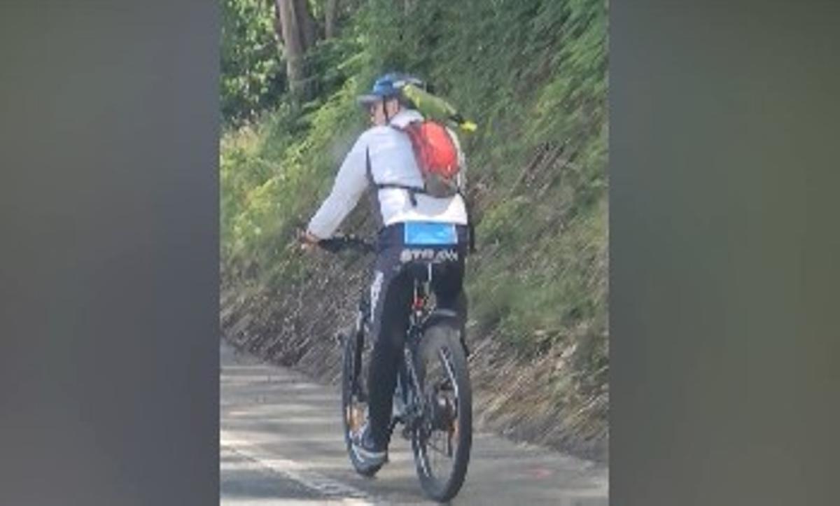 El loro, posado en la mochila del ciclista.