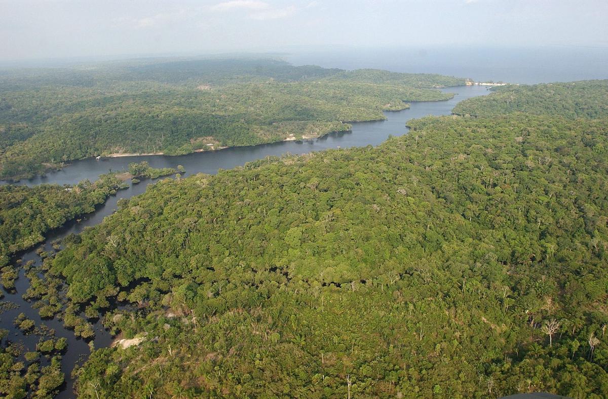 Vista aérea de la Amazonia brasileña.