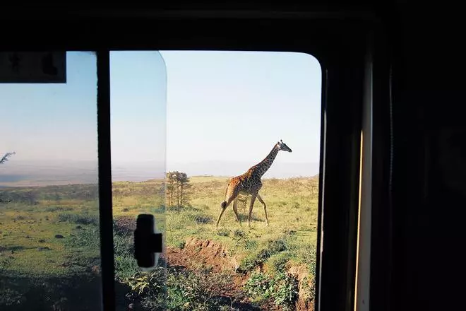 Destinos para viajar diferente en 2026