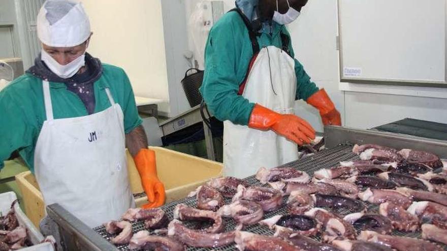 Trabajadores de una empresa frigorífica en el Puerto de Marín. // S.A.