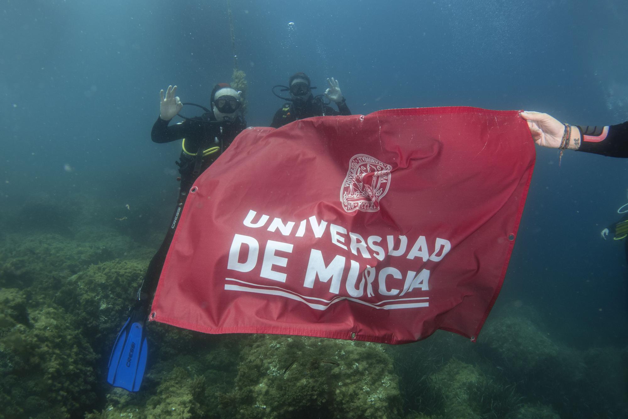 La Universidad de Murcia 'se moja' por los fondos marinos de Águilas