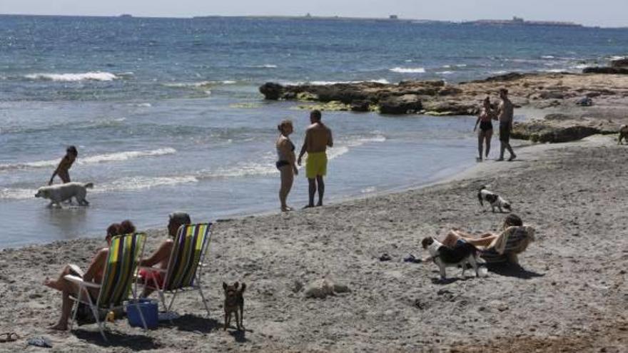 La playa para perros de Santa Pola concentra a usuarios y canes en la arena.