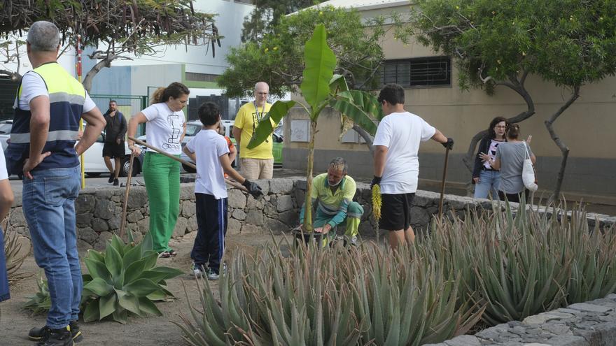 Arreglo de los jardines comunitarios en la Vega de San José