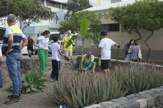 Arreglo de los jardines comunitarios en la Vega de San José