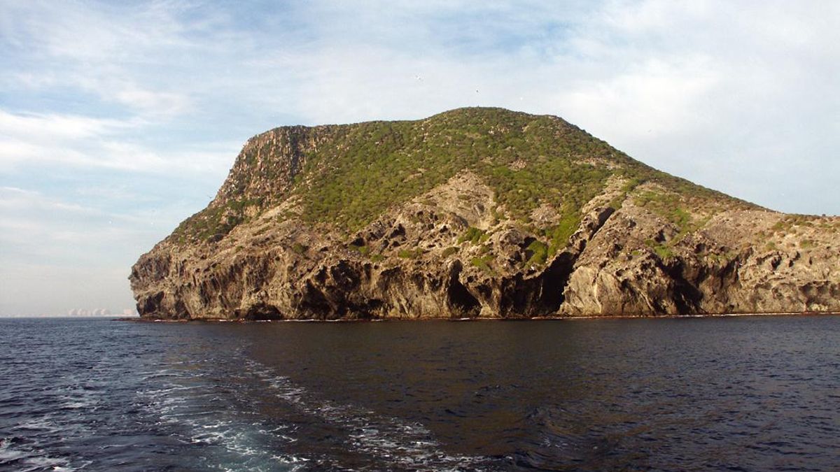 La renaudación del servicio de control de visitantes busca prevenir impactos en la Isla Grosa.