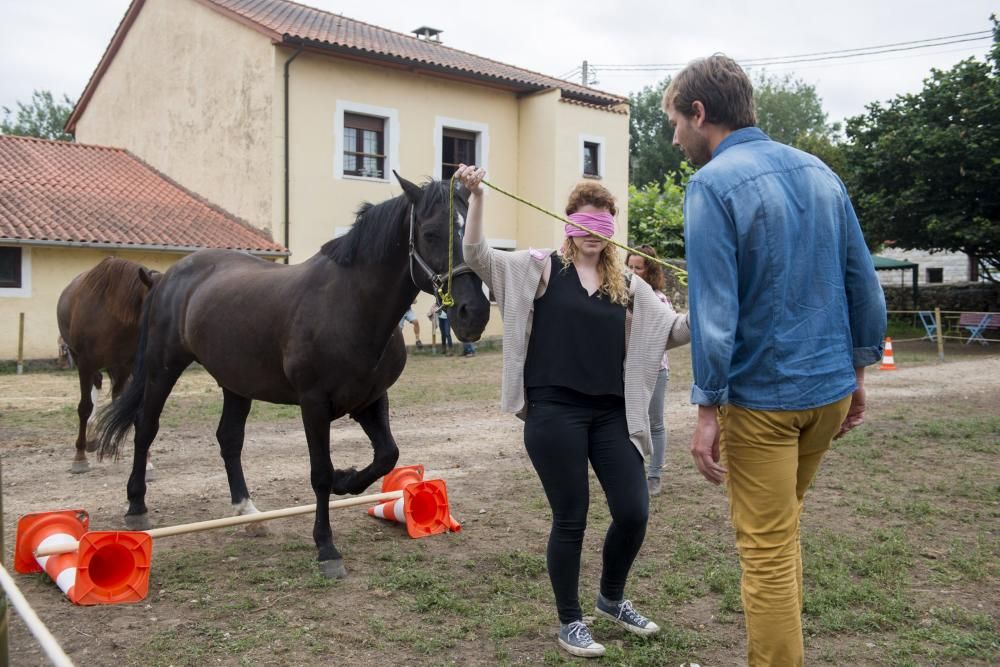 'Coaching' con caballos para empresarios