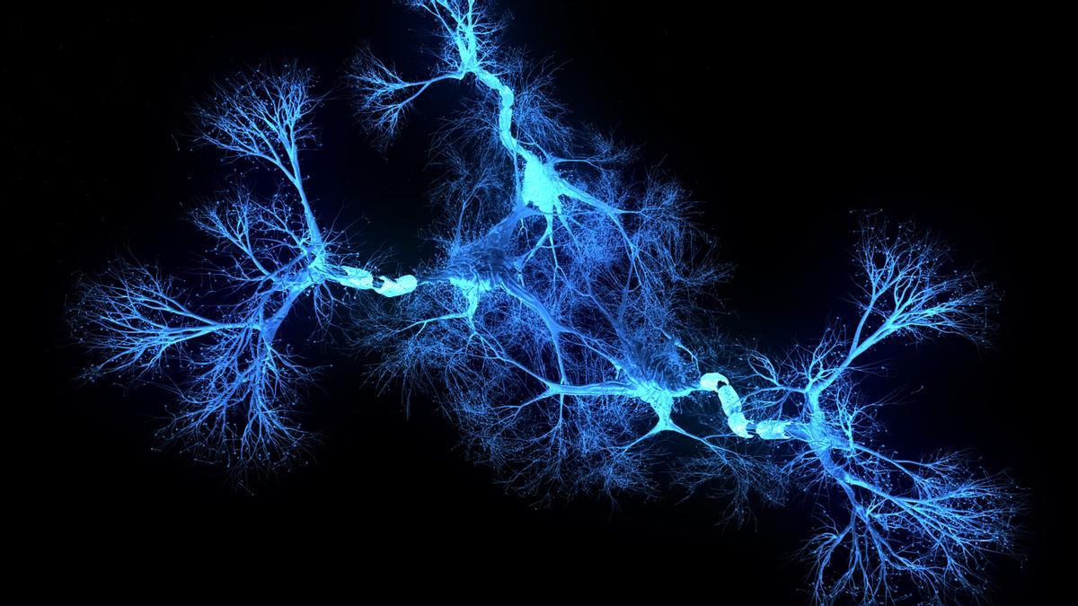 Holograma del sistema de neuronas