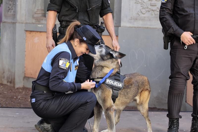 Despedida del servicio activo del perro Troy.