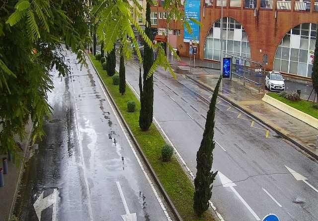 Paseo de los Tilos, frente a la Estación de Autobuses