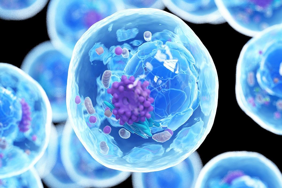 ASMD, la enfermedad rara con un tratamiento solo al alcance de muy pocos