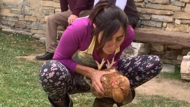 El vídeo viral de Paz Padilla como hipnotizadora de gallinas