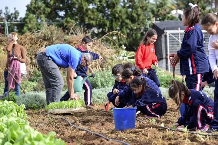 Visita escolar a la Granja Agricola del Cabildo