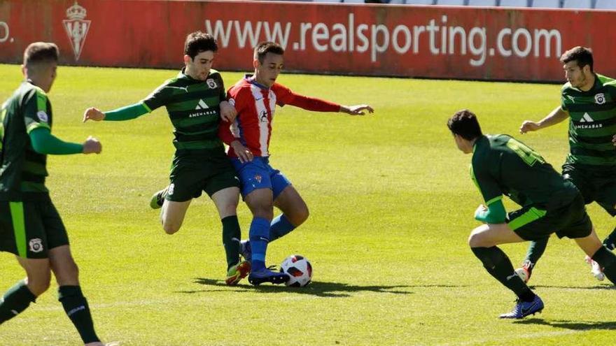 El rojiblanco Pedro Díaz protege el balón rodeado por cuatro jugadores del Vitoria.