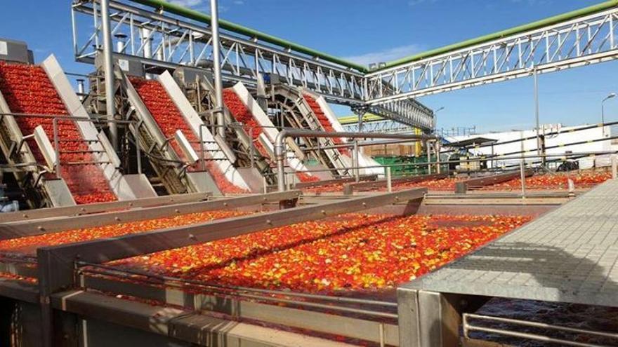 La Unión reclamará “hasta el último euro” de los 50,4 millones que la industria quiere “arrebatar” a los productores de tomate extremeños