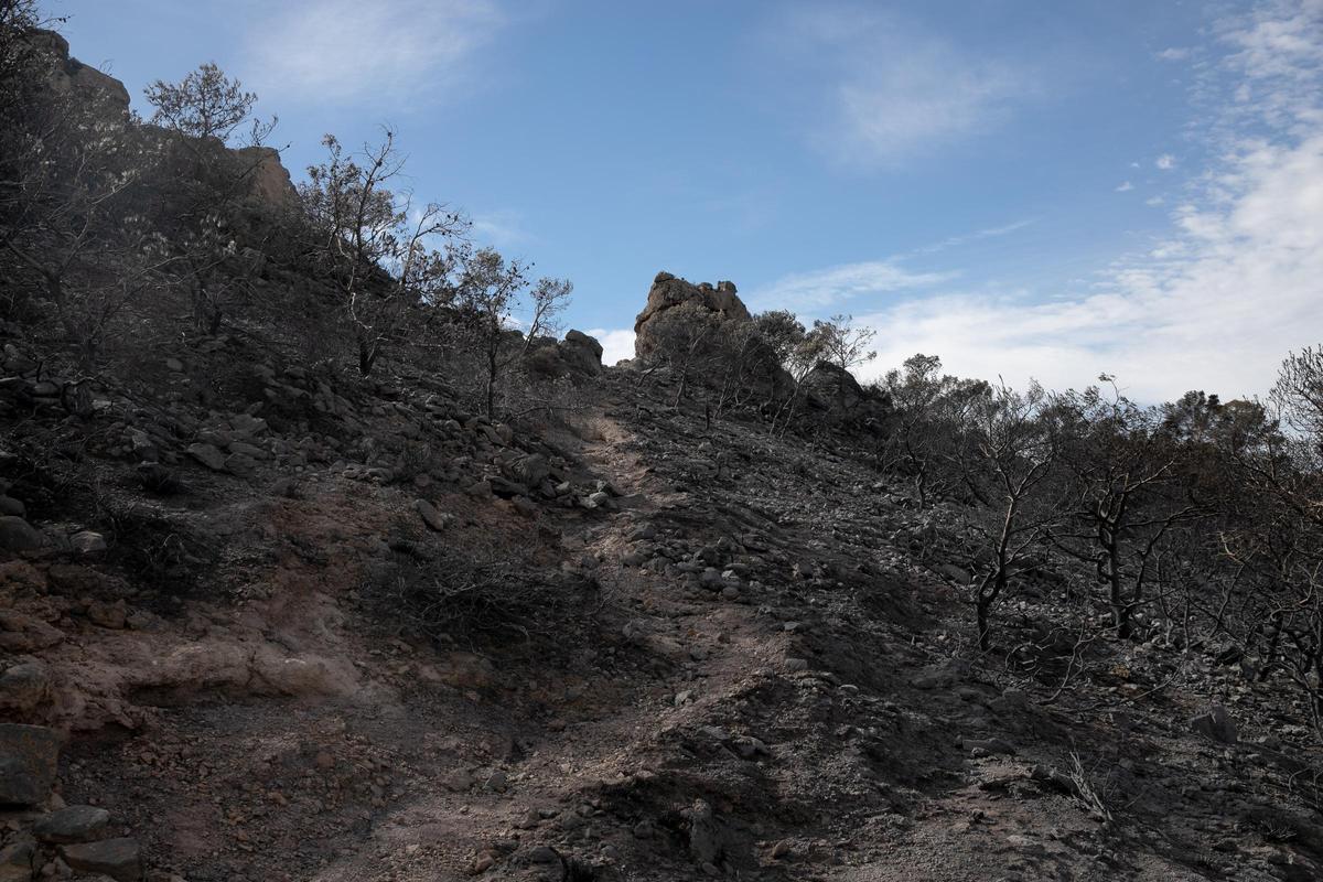 Algunos de los momentos más destacados de esta mañana en el incendio de Cabo Tiñoso. Algunos de los momentos más destacados de esta mañana en el incendio de Cabo Tiñoso.