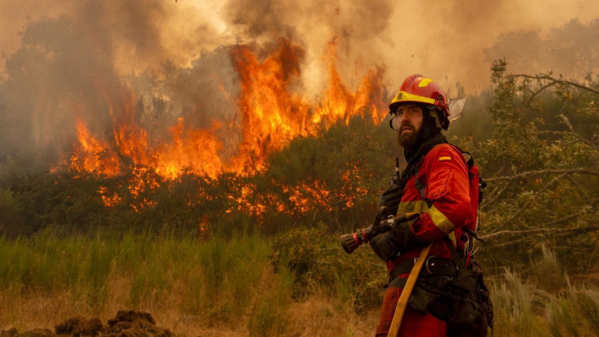 ¡Alerta en Argentina! Incendios: Un Peligro Silencioso para tu Salud - Efectos Respiratorios, Cardiovasculares y Psicológicos
