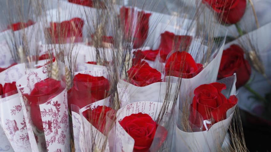 «Satisfacció» entre els floristes pels sis milions de roses venudes