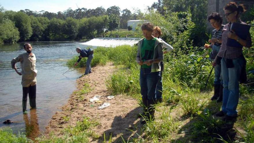 Una actividad del Colectivo Ecoloxista do Salnés en el río Umia, a su paso por Pontearnelas. // Iñaki Abella