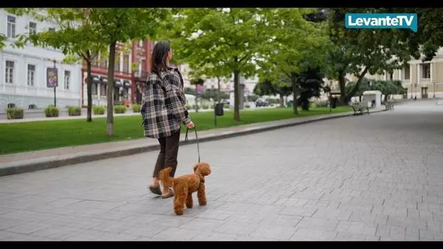 Las mascotas, grandes aliadas de la longevidad