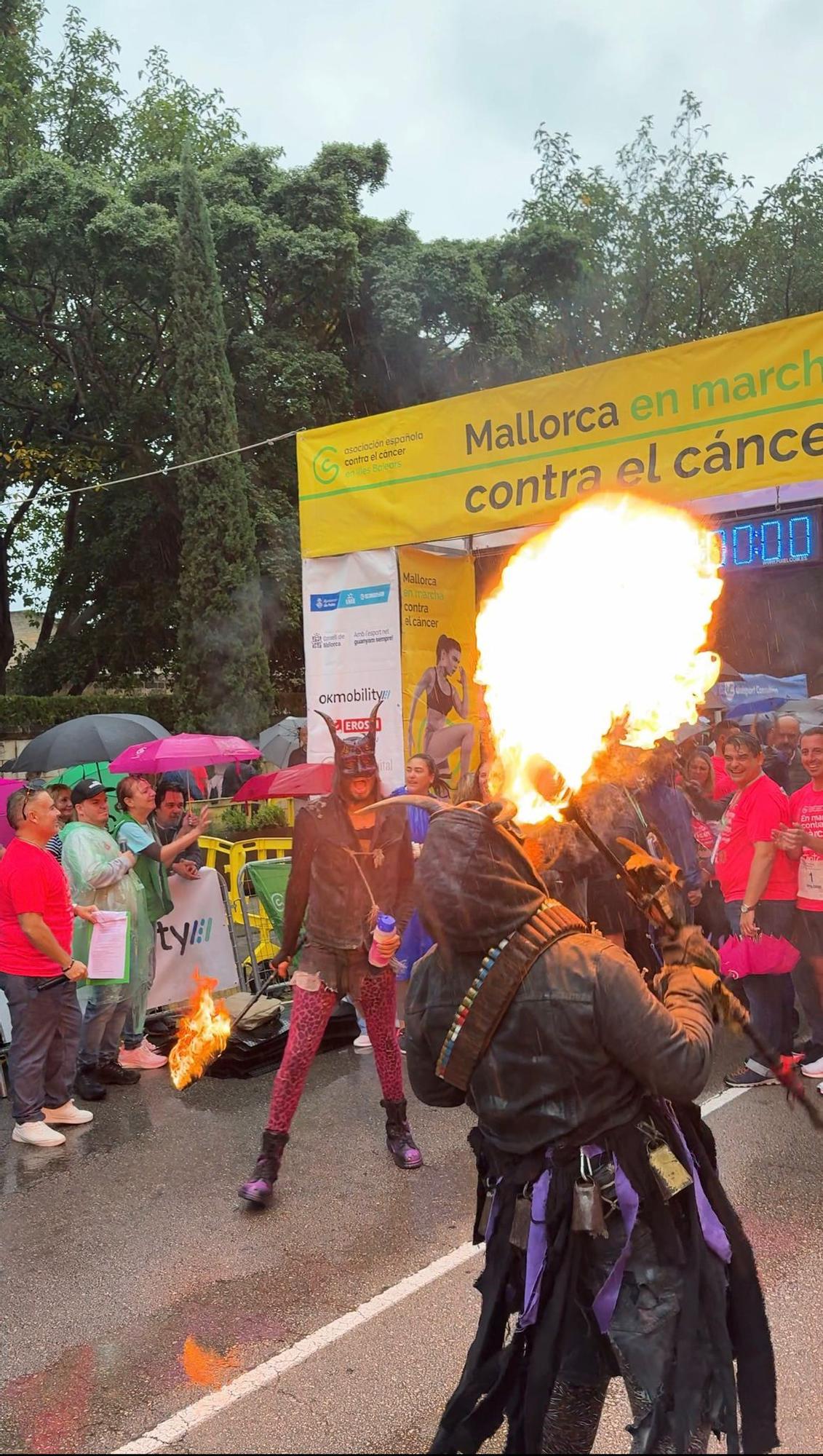 Búscate en la X edición de la carrera popular 'Mallorca En Marcha Contra el Cáncer' celebrada en Palma