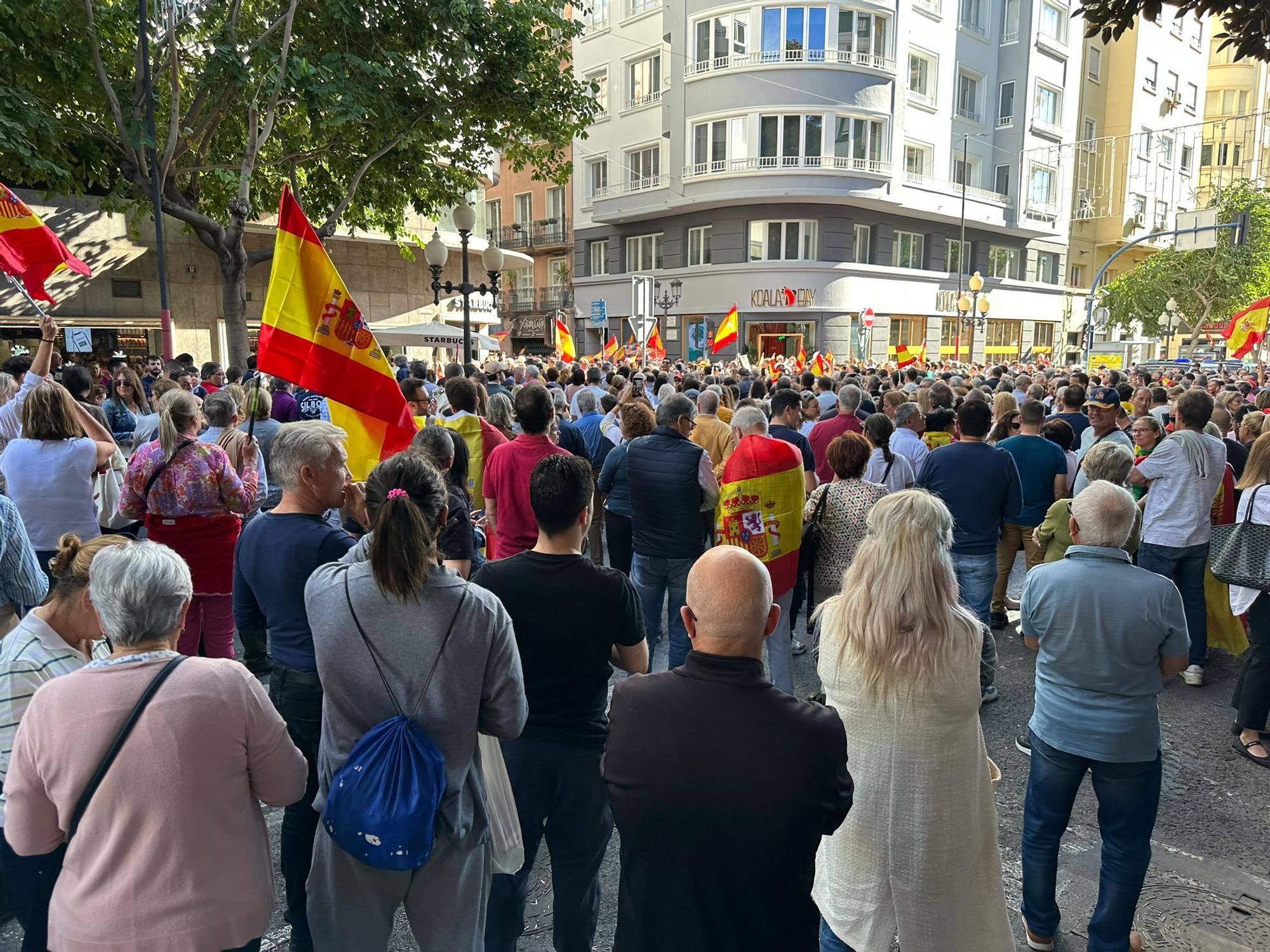 Manifestantes en los alrededores del ayuntamiento de Alicante
