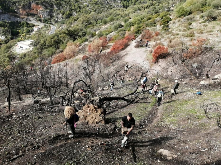 Acción para bombardear con semillas la zona afectada por el incendio de este verano en Casares.