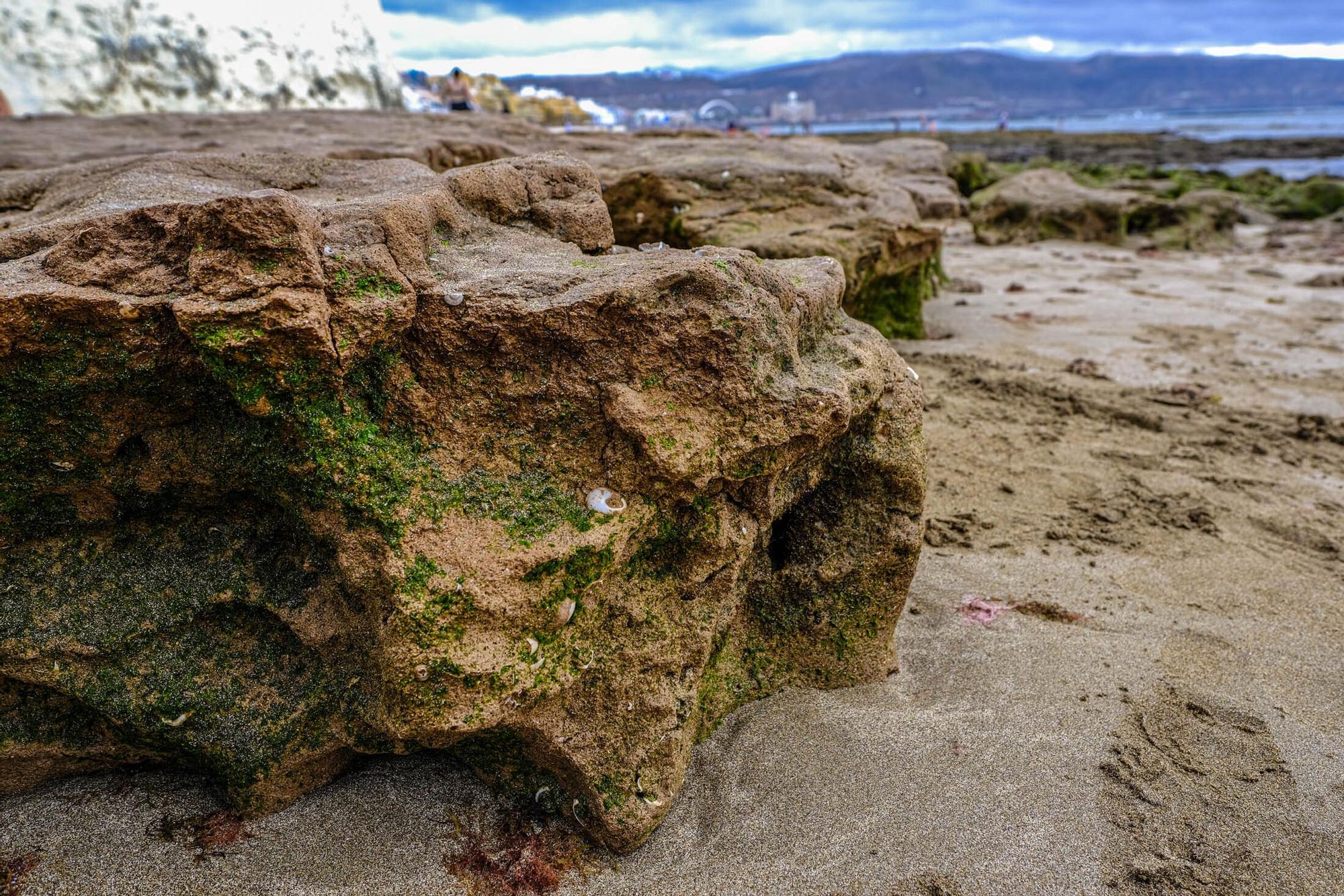 Playas fósiles de Las Canteras