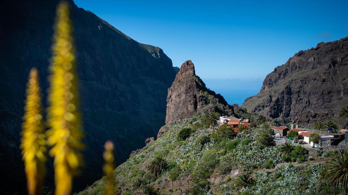Barranco de Masca