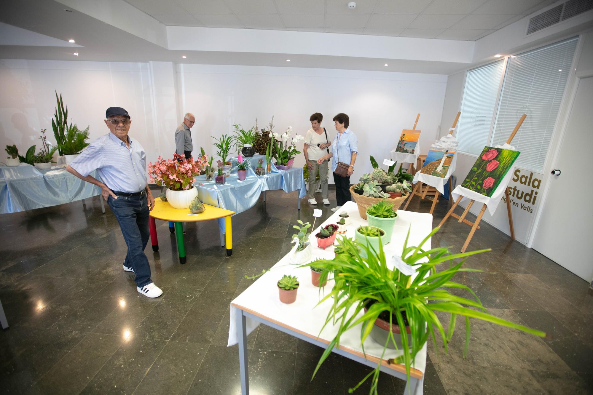 Exposición de plantas y mucha tradición en Puig d'en Valls