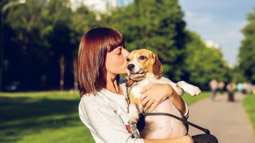 ¿Qué significa que las mascotas son ya, por ley, parte de la familia?