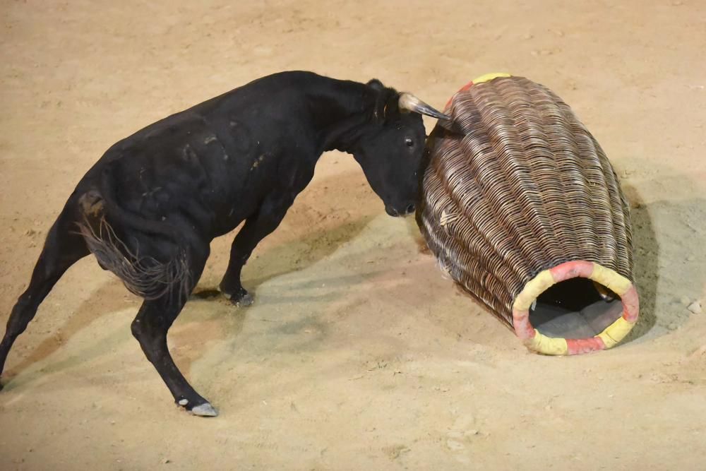 Corre de bou de Cardona