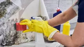 Cómo limpiar el moho de la pared