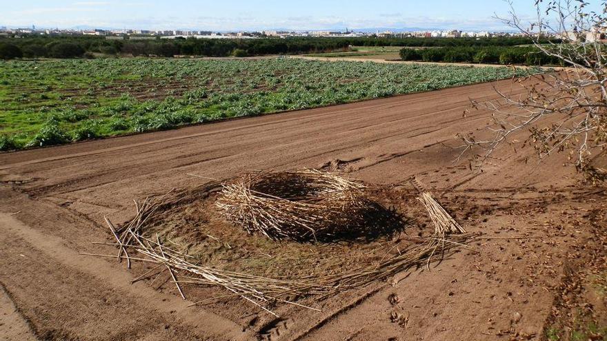 Un nou diàleg amb el nostre entorn natural