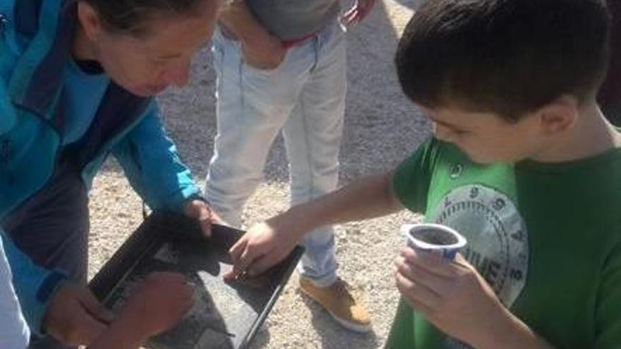 Más de 300 escolares acuden a la huerta ecológica para aprender hábitos saludables