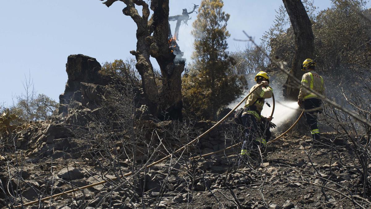 Segundo día del incendio forestal de Portbou.