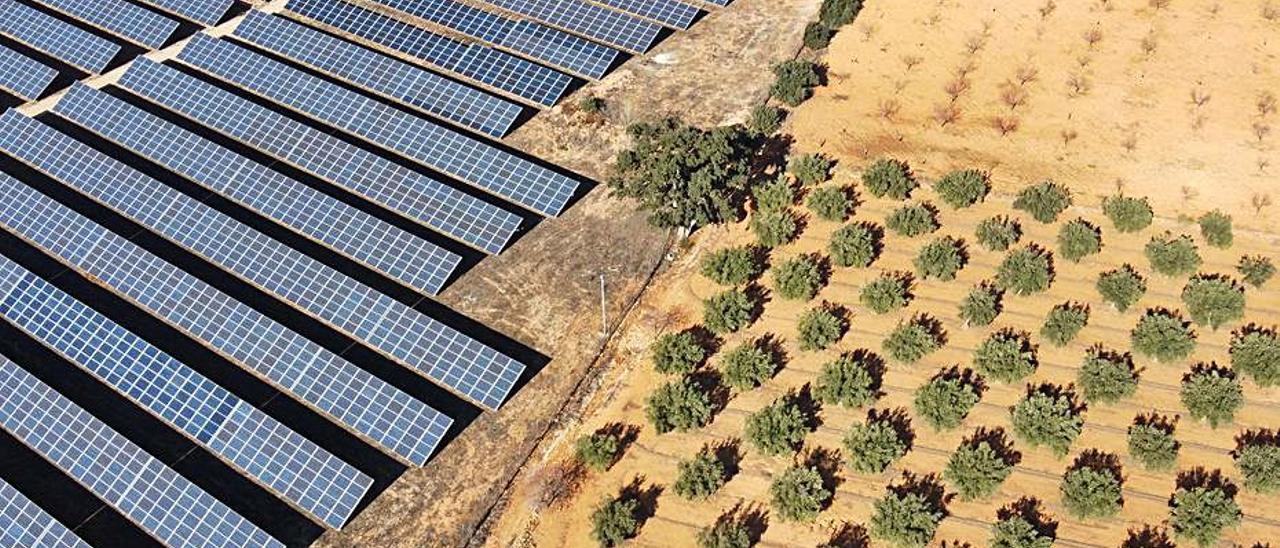 Una planta solar en la provincia.