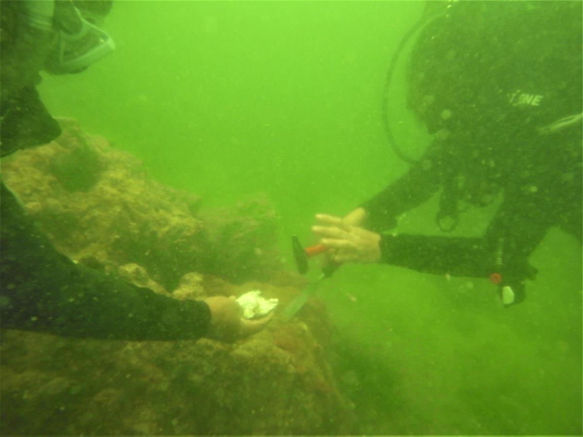 Suppakarn Jandang (derecha) y su equipo se preparan para recolectar muestras de coral para el análisis de microplásticos.