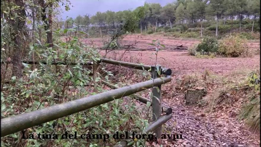 Meandre denuncia a Seprona la tala d&#039;arbres a Rajadell per saber si hi ha delicte ecològic