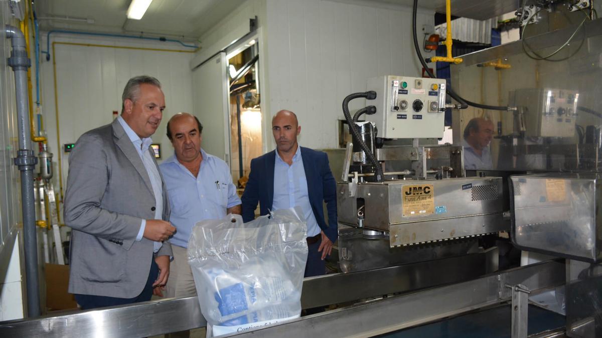 Planta de embalaje de cubitos de hielo