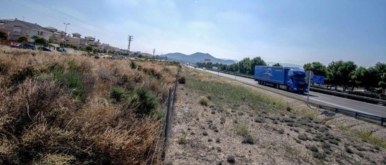 Las pantallas acústicas se colocarán entre la autovía A-31 y la avenida Catedrático José María Bernabé Maestre.