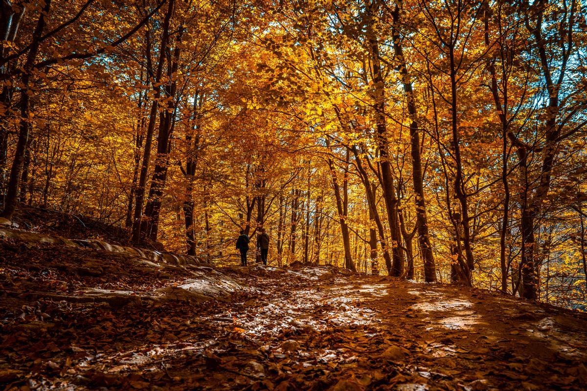 Montseny en otoño.