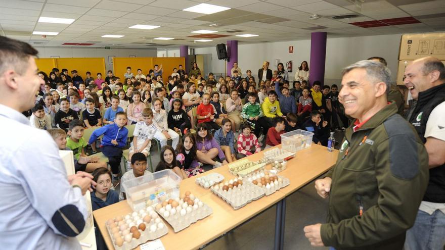 Los escolares del Xesús Golmar pudieron ver huevos de distintos tipos de aves.   | // BERNABÉ/JAVIER LALÍN