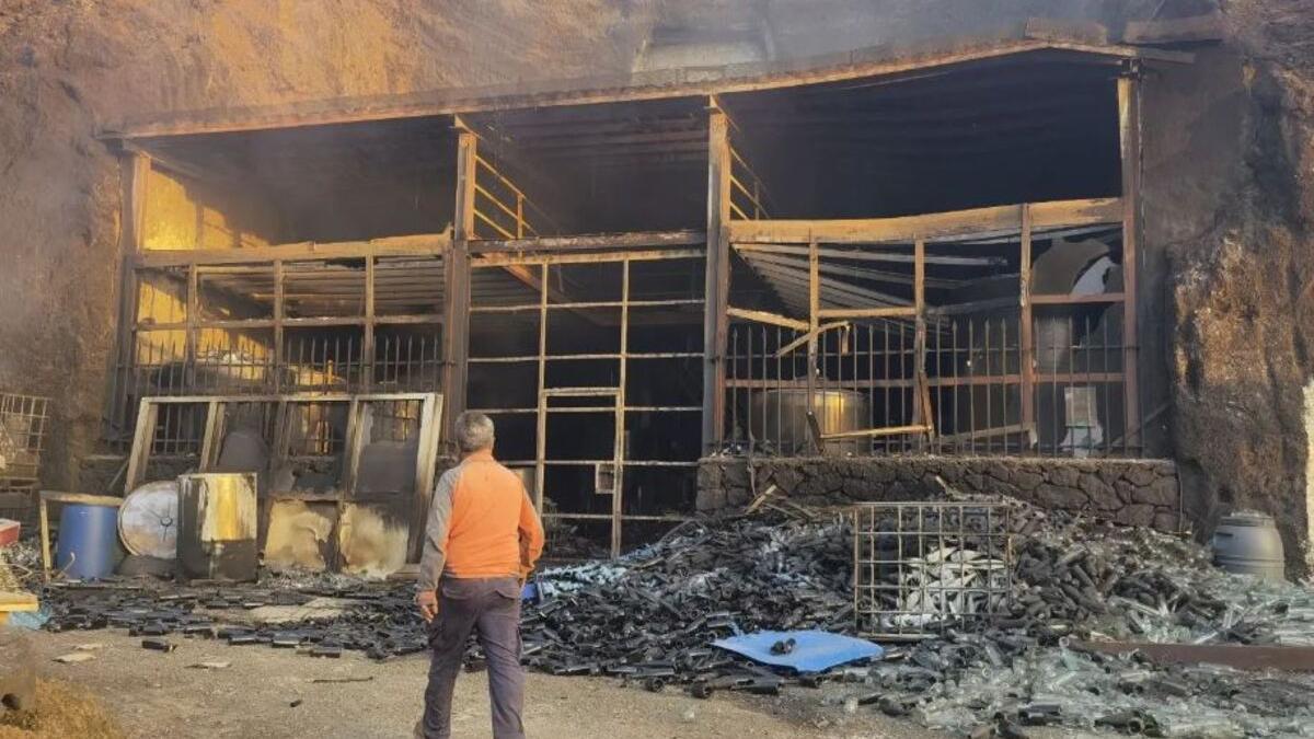 Imagen de la bodega tras el paso de las llamas  del incendio de La Palma.