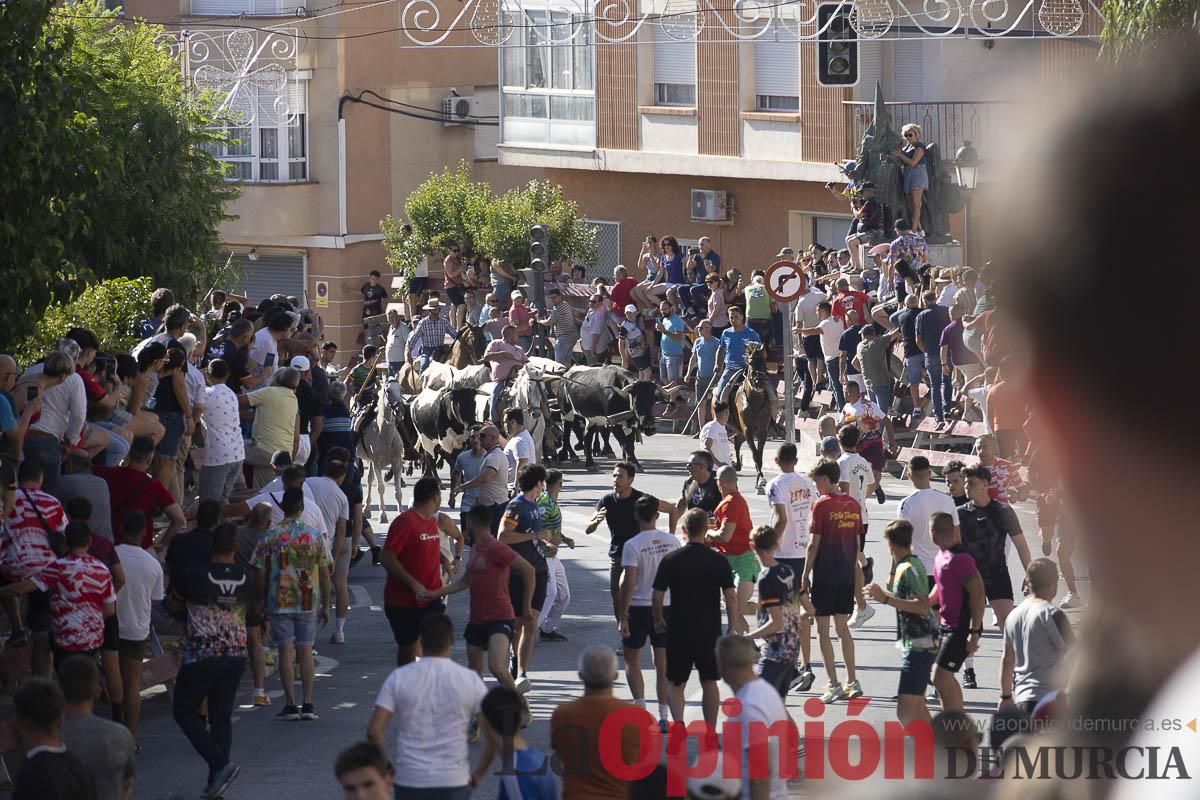 Tercer encierro de las Fiestas de Moratalla
