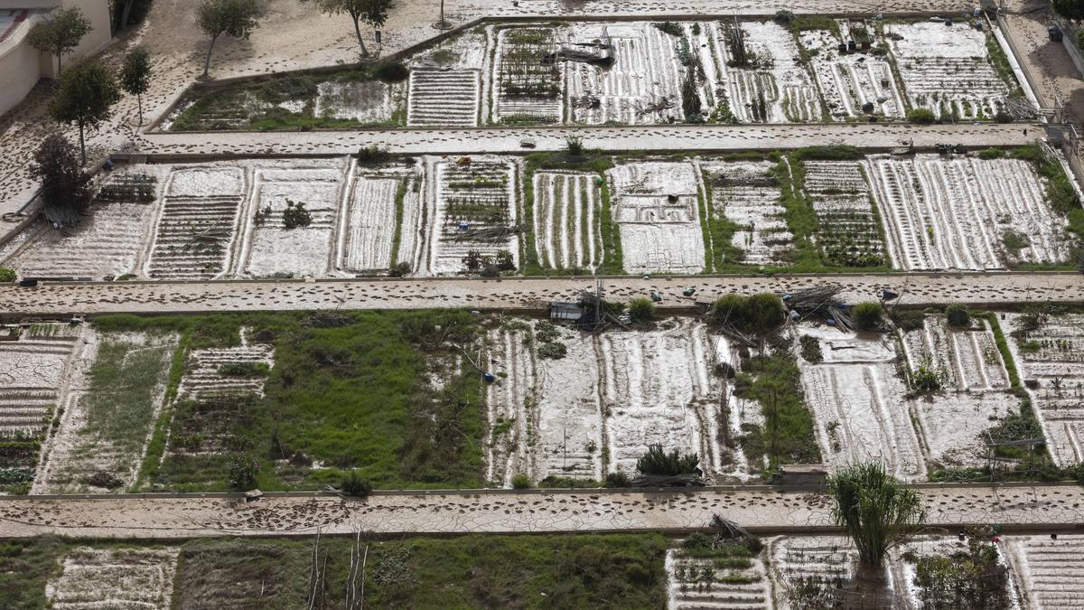 Los huertos urbanos de Sociópolis tras la dana.