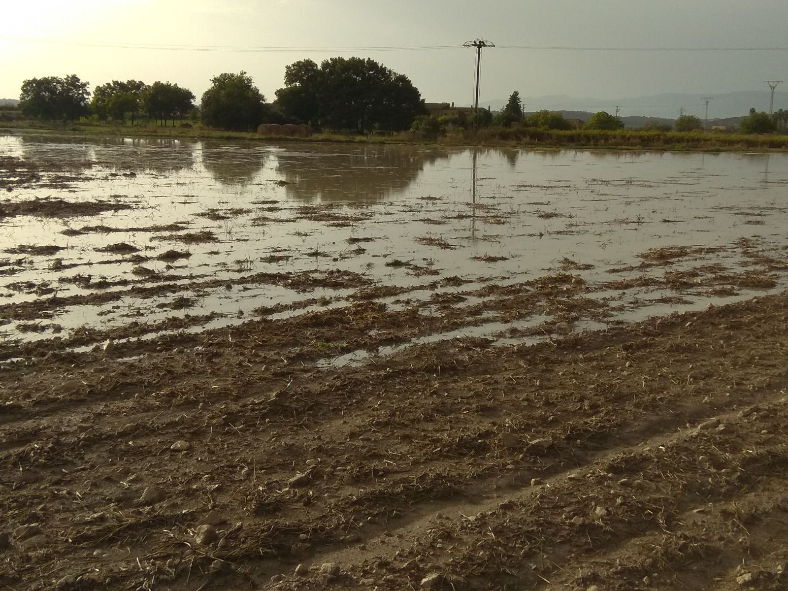 Se desborda el torrent del Puig d'en Moltó en Montuïri