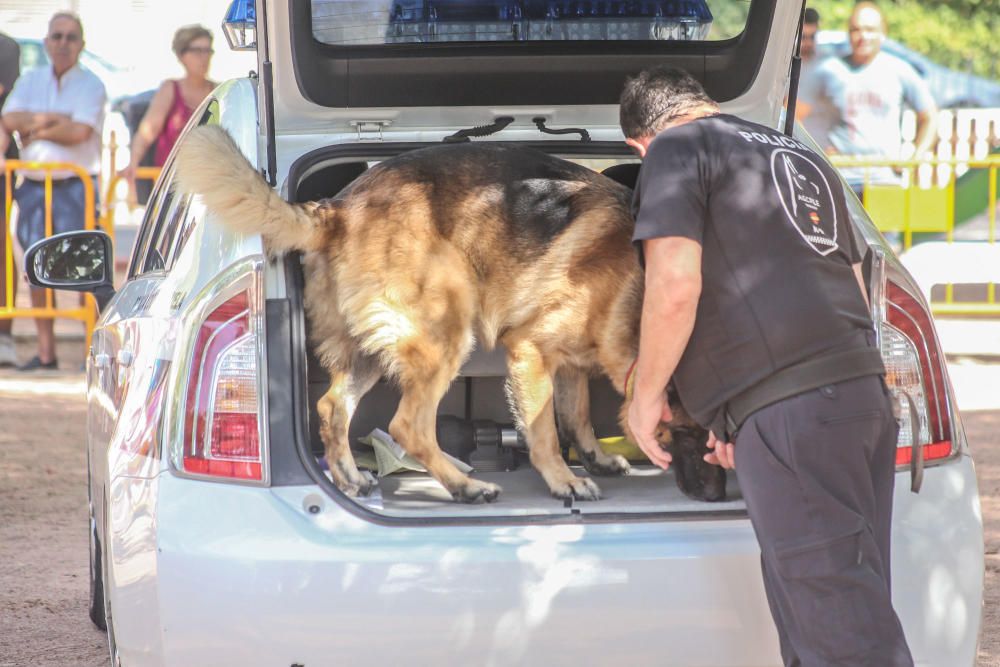 Campeonato de perros detectores de sustancias estu